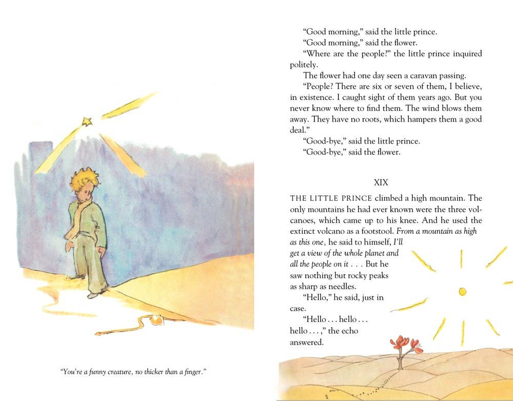 Little Prince Deluxe Edition