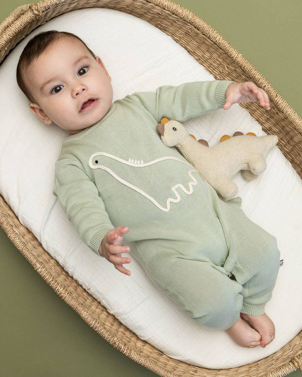 Dino Embroidered Baby Knit Jumpsuit