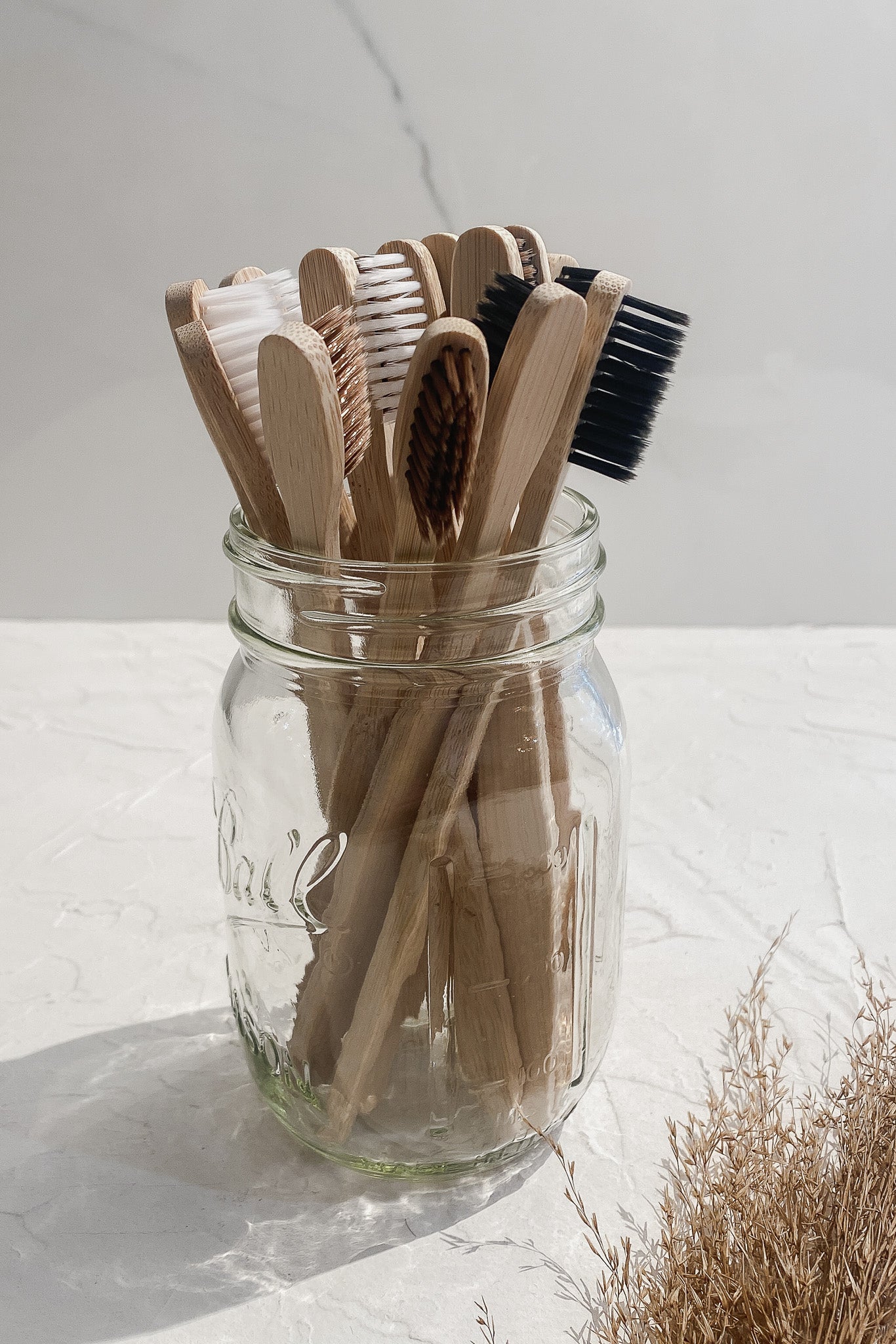 Bamboo Switch Toothbrush