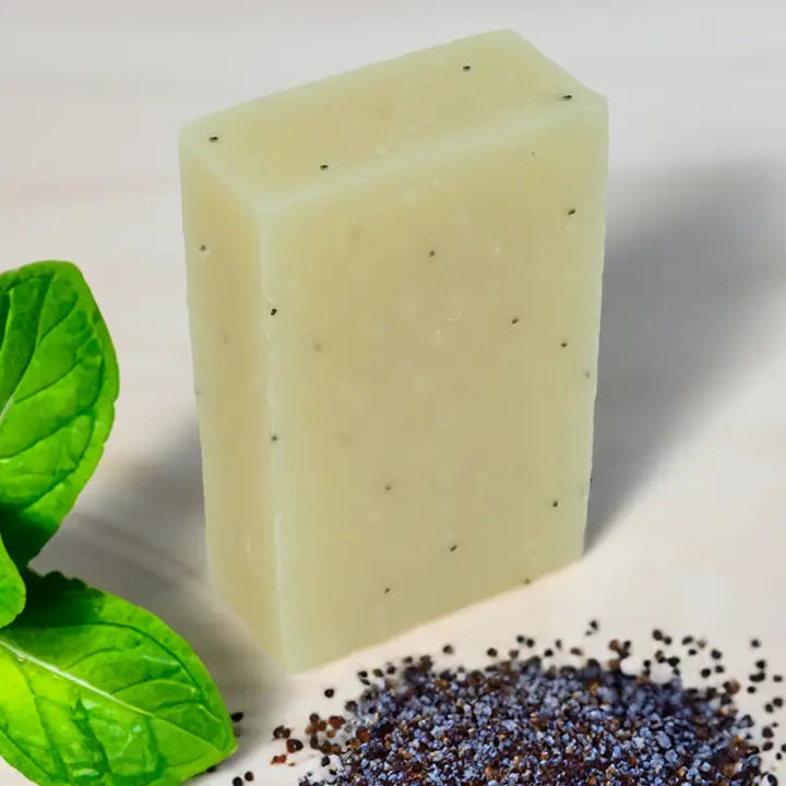 Friendly Soap Bars- Package Free