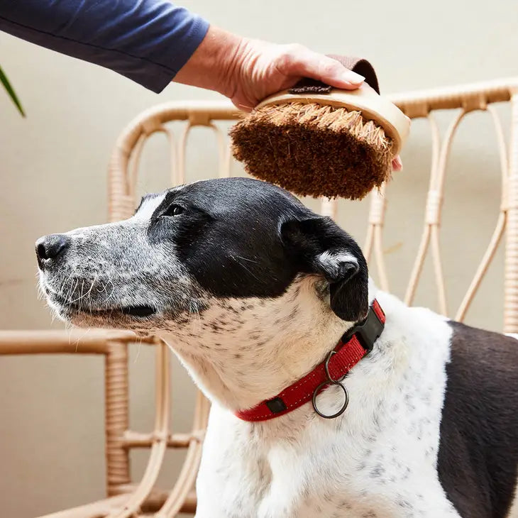 Ethical Global Pet Grooming Brush - Simple Good