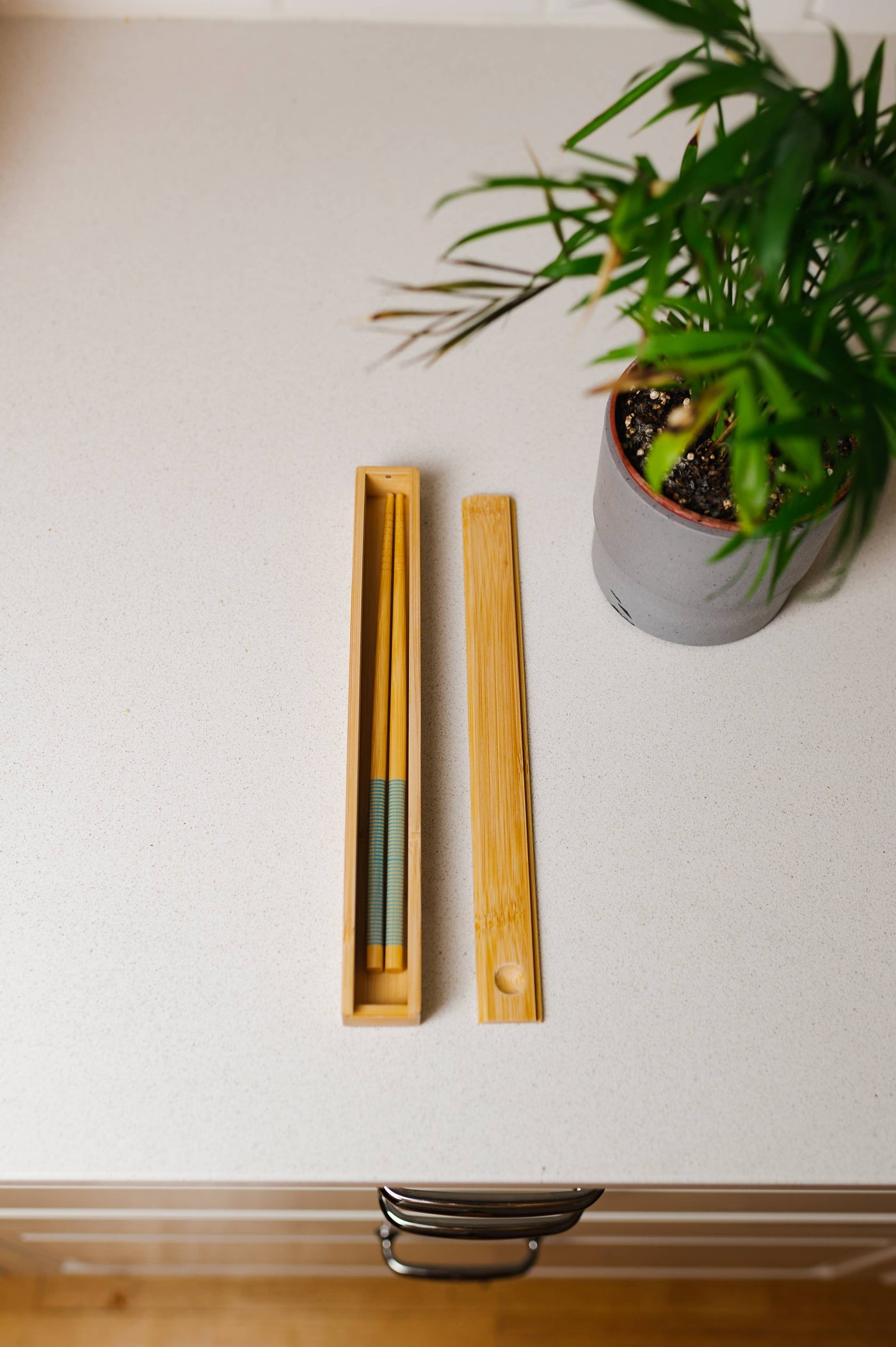 Bamboo Switch Bamboo Chopstick Storage Travel Box | Sushi Night - Simple Good