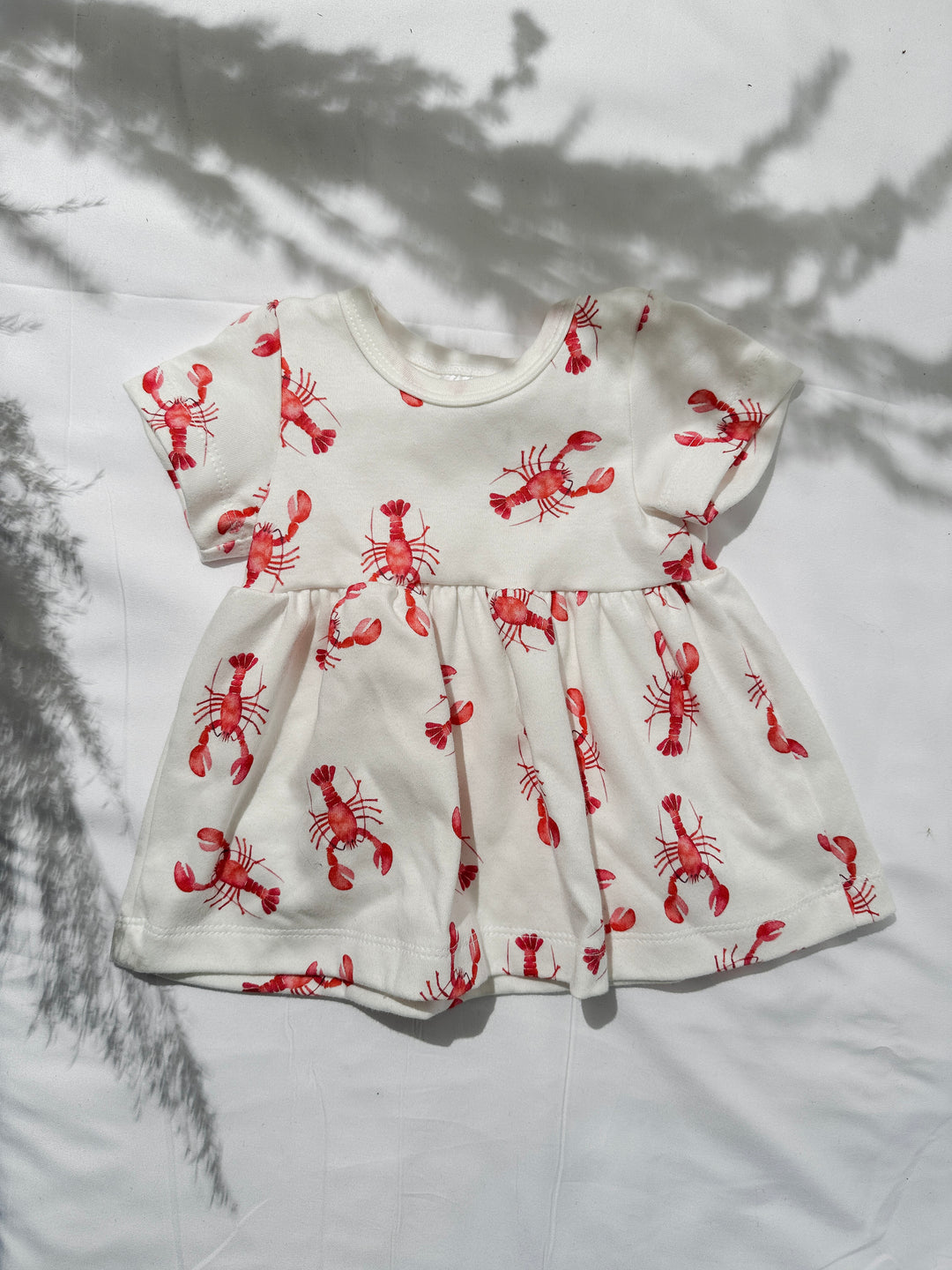 Organic Cotton Summer Baby Dress