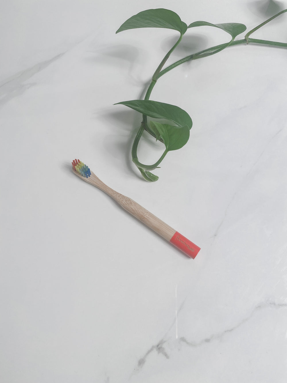 Kids Bamboo Toothbrush