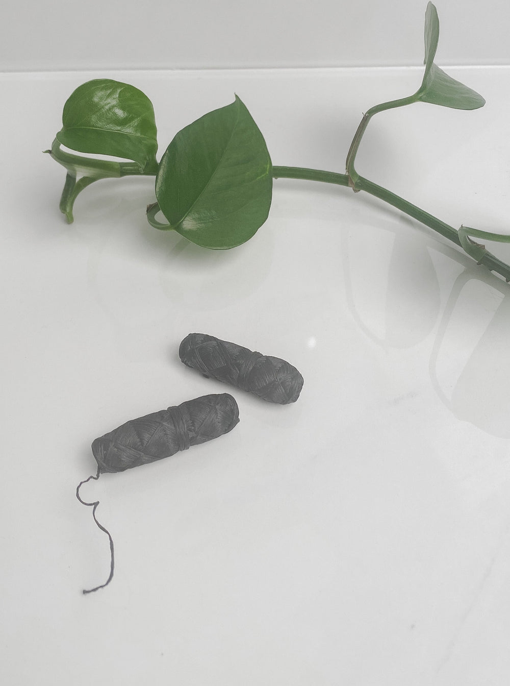 Plastic Free Bamboo Dental Floss Refills