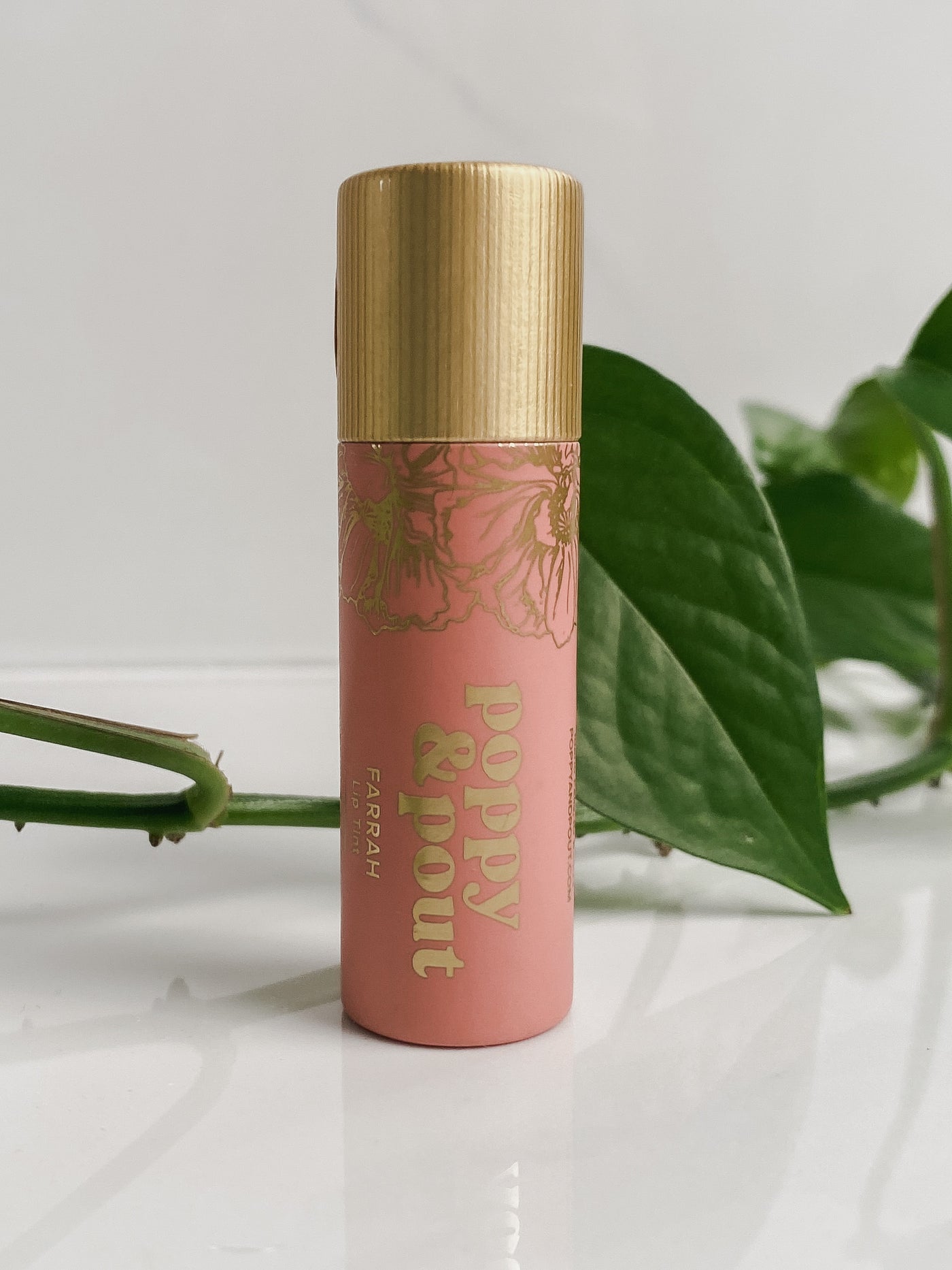 Zero Waste All Natural Tinted Chapstick