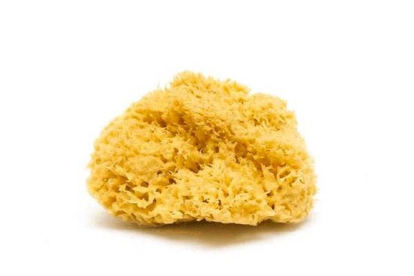 Smile Boutiques Natural Sea Sponge - Plastic Free Organic Sea Sponge: Honeycomb Sponge - Simple Good