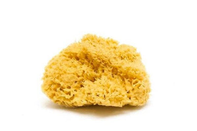 Smile Boutiques Natural Sea Sponge - Plastic Free Organic Sea Sponge: Honeycomb Sponge - Simple Good