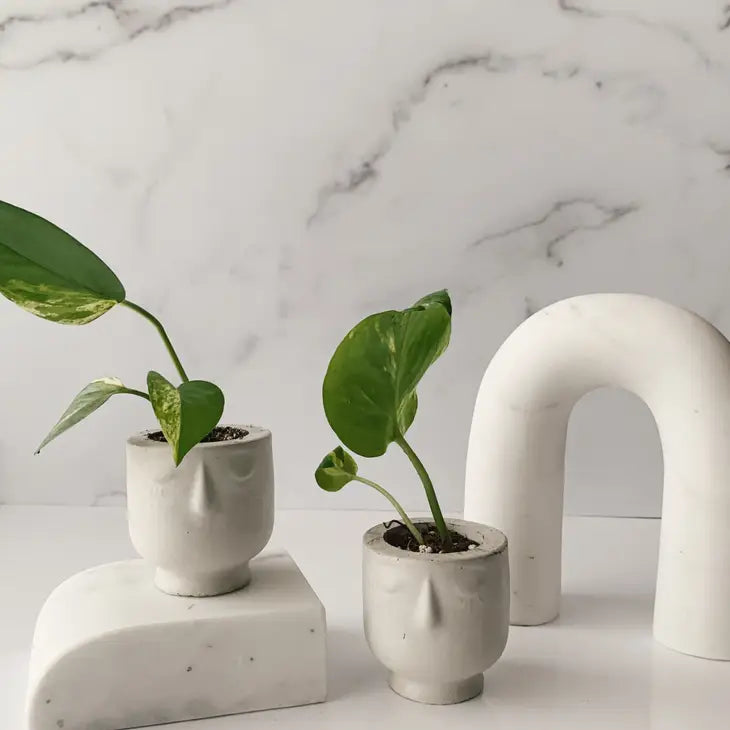 Small Concrete Face Planter