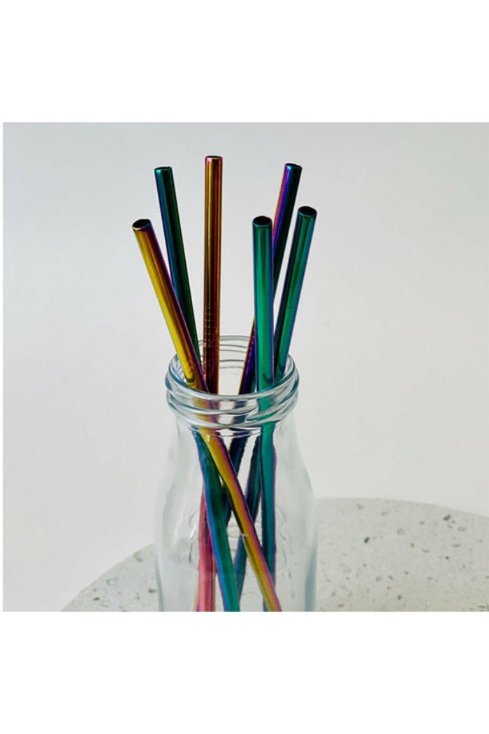 Reusable Stainless Steel Straws